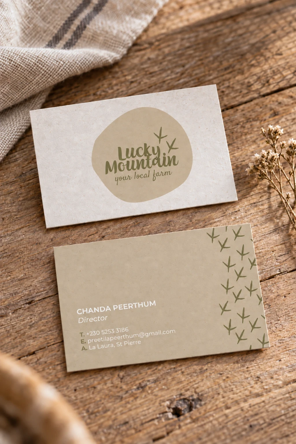 Cartes de visite Lucky Mountain.