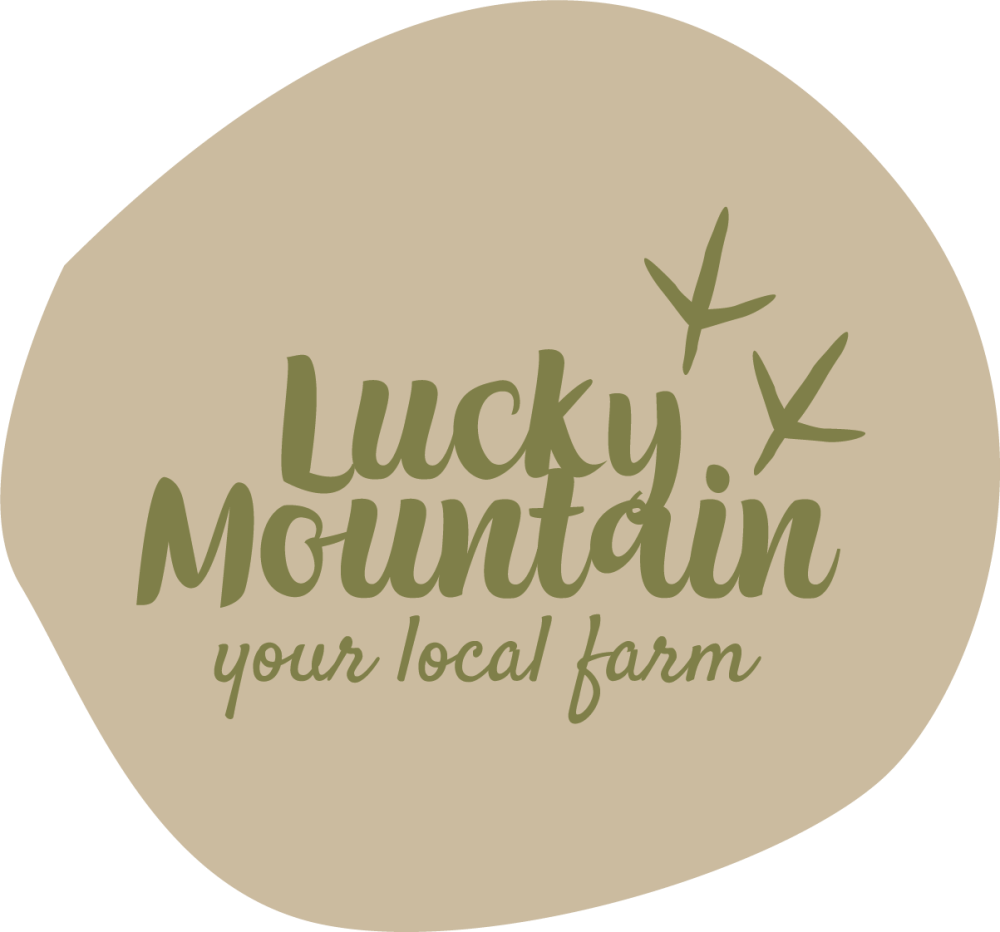 Logo Lucky Mountain